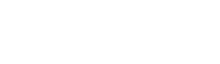 輸入車：欧州車カスタム