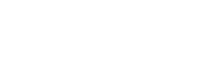 国産カスタム